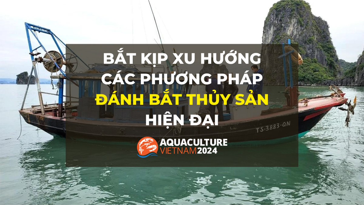 cac phuong phap danh bat thuy san 1