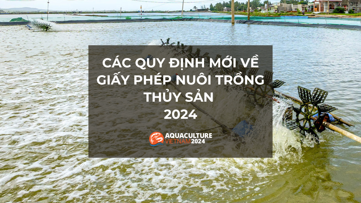 giay phep nuoi trong thuy san 1