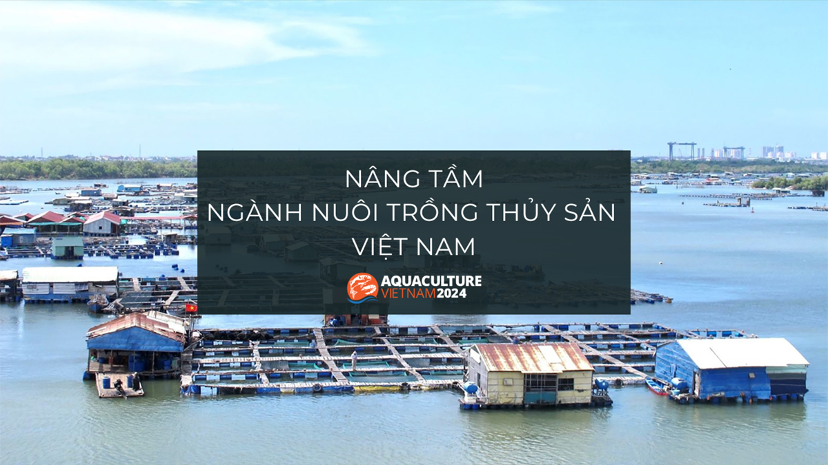 nuoi trong thuy san nuoc ta hien nay 1