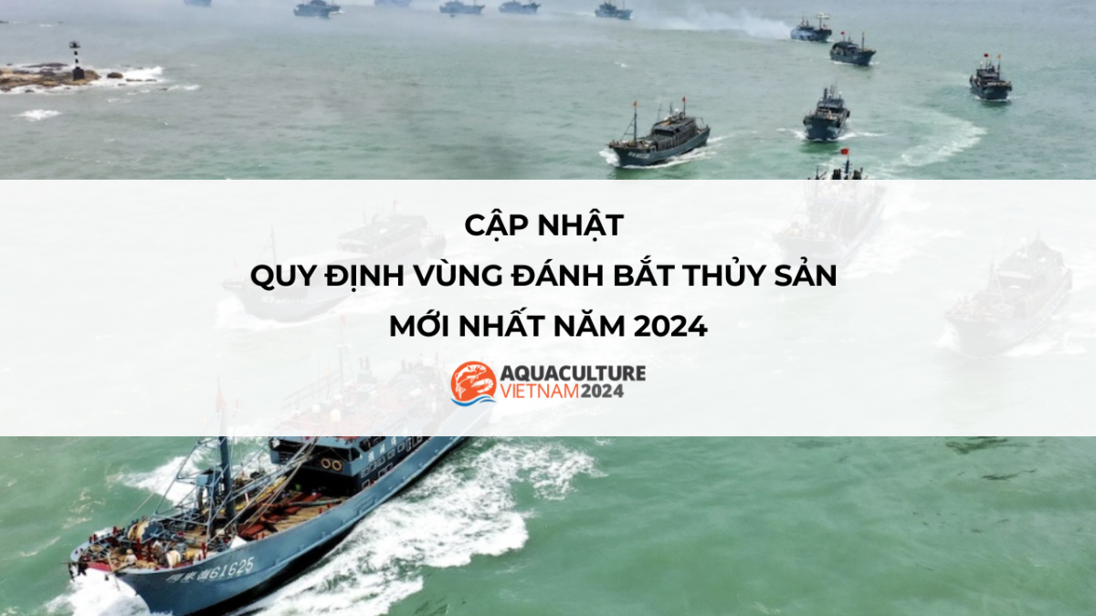 quy dinh vung danh bat thuy san 10