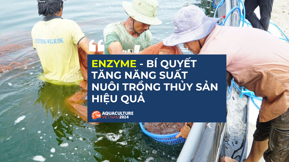 ung dung cua enzyme trong nuoi trong thuy san 1