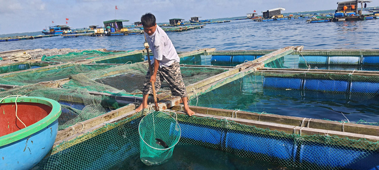 nuoi trong thuy san thich ung khi hau 4