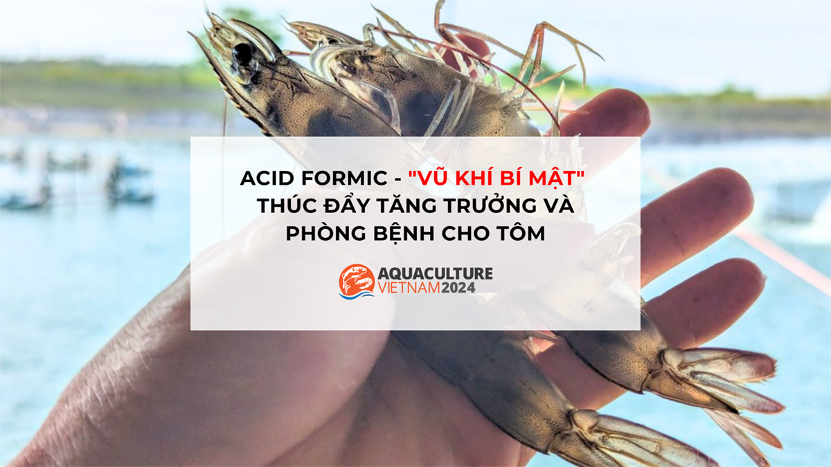 tac dung cua acid formic voi tom 1