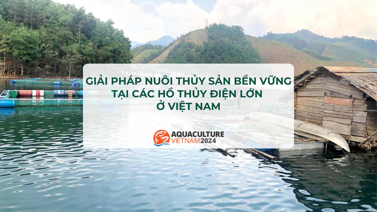 nuoi thuy san tai ho thuy dien 1