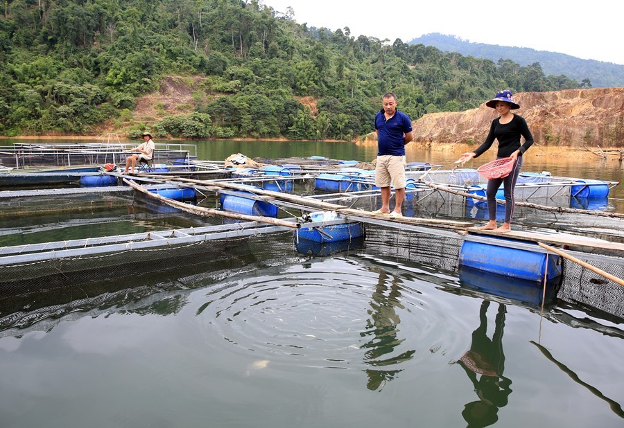 nuoi thuy san tai ho thuy dien 4