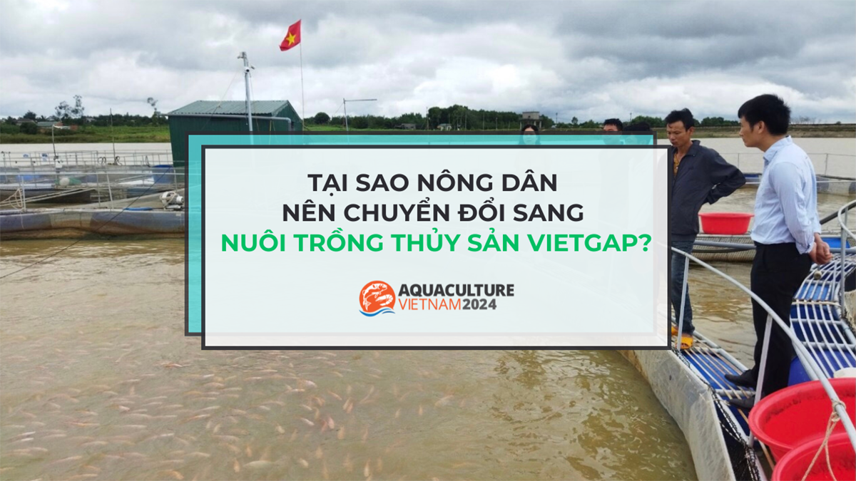 Tại sao nông dân nên chuyển đổi sang nuôi trồng thủy sản VietGAP?