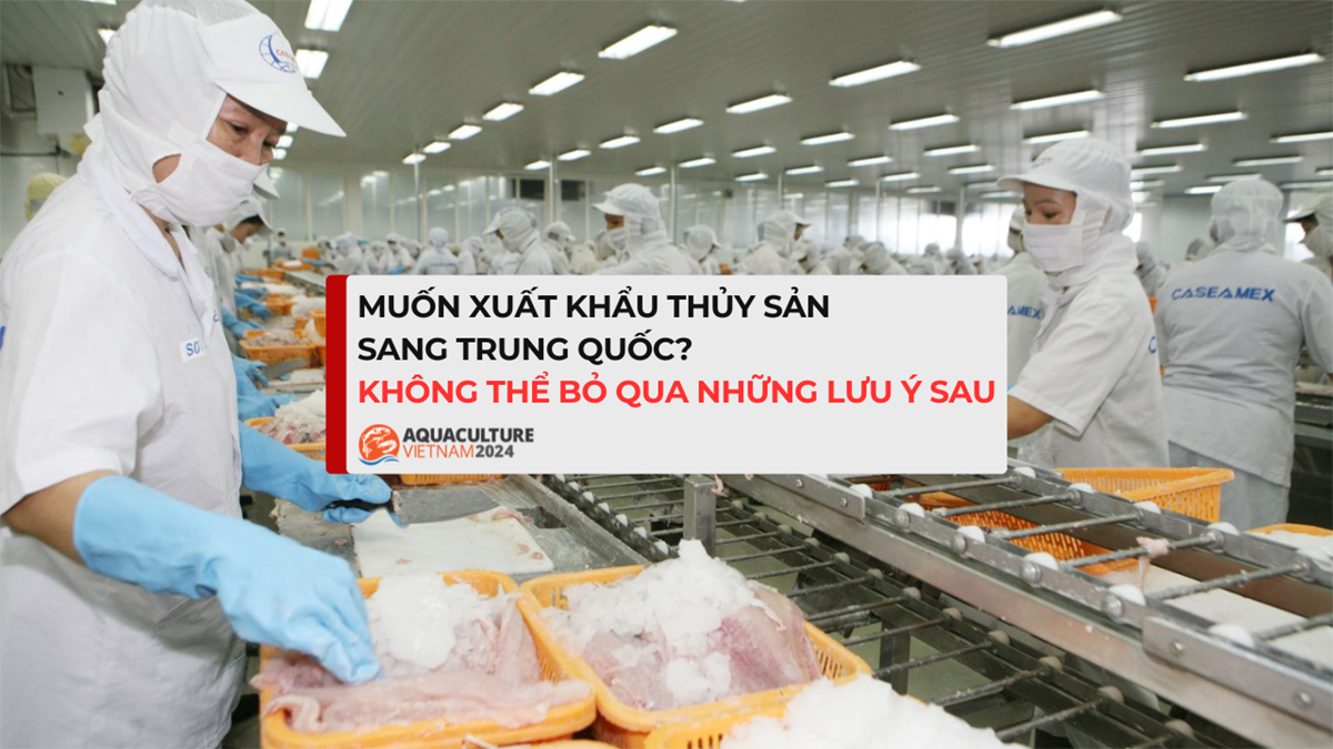 Muốn xuất khẩu thủy sản sang Trung Quốc? Không thể bỏ qua những lưu ý sau