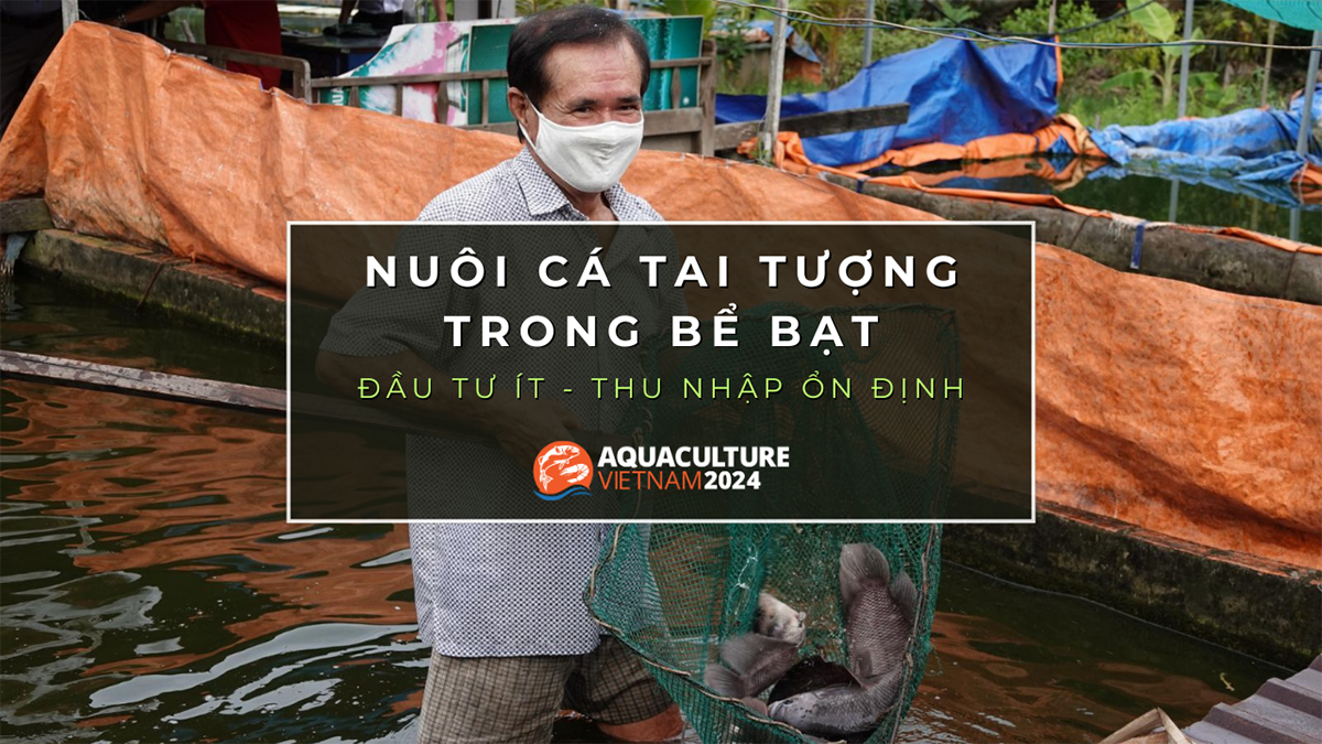 nuoi ca tai tuong be bat 1