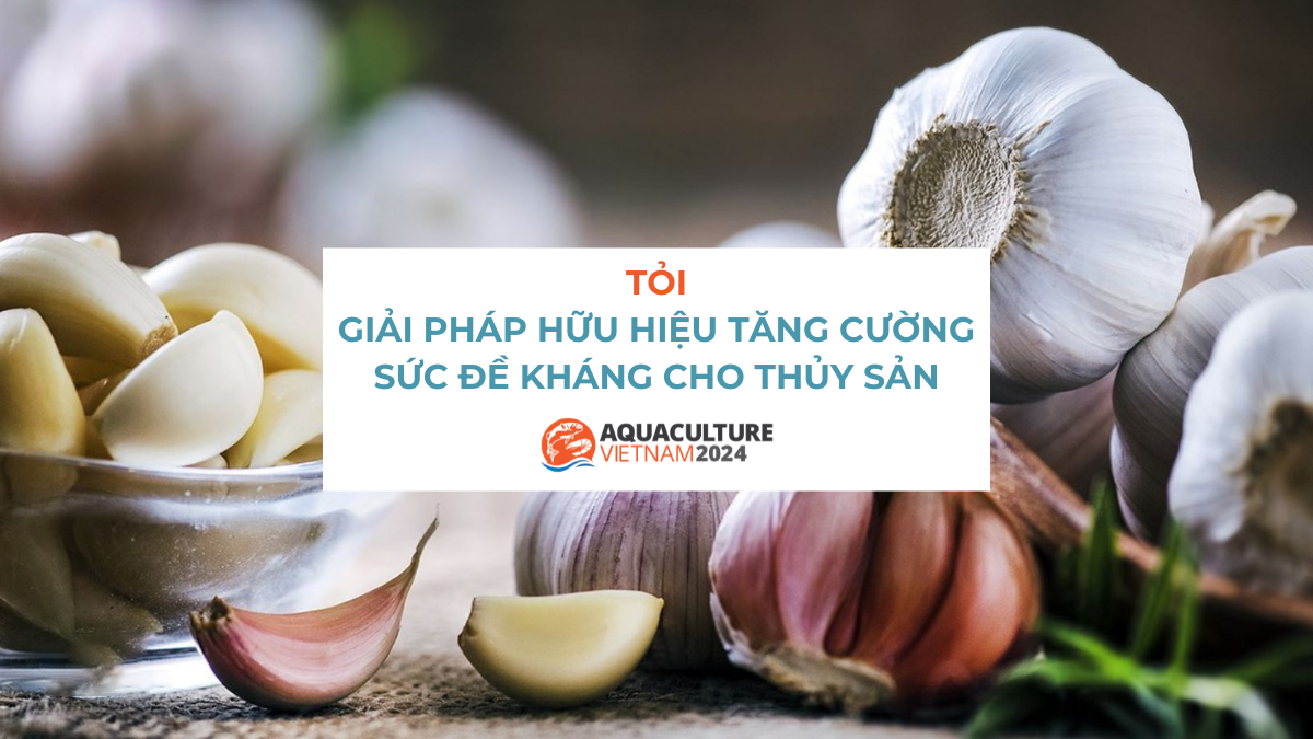 su dung toi trong nuoi trong thuy san 1