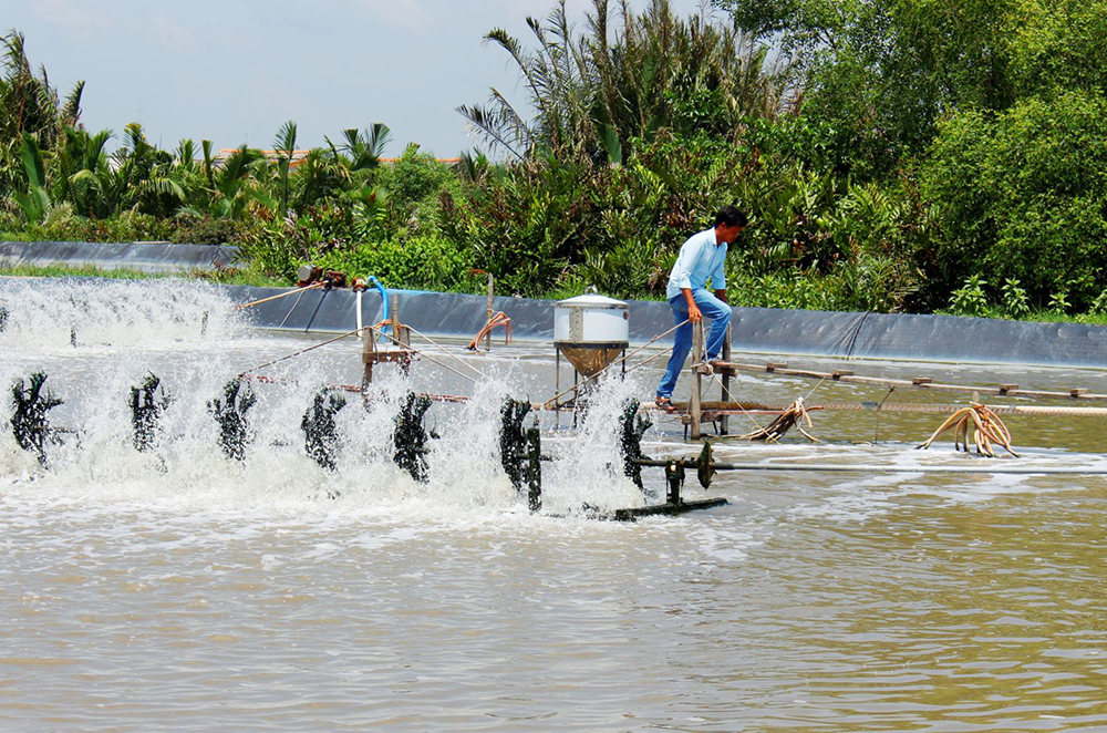 su dung toi trong nuoi trong thuy san 3