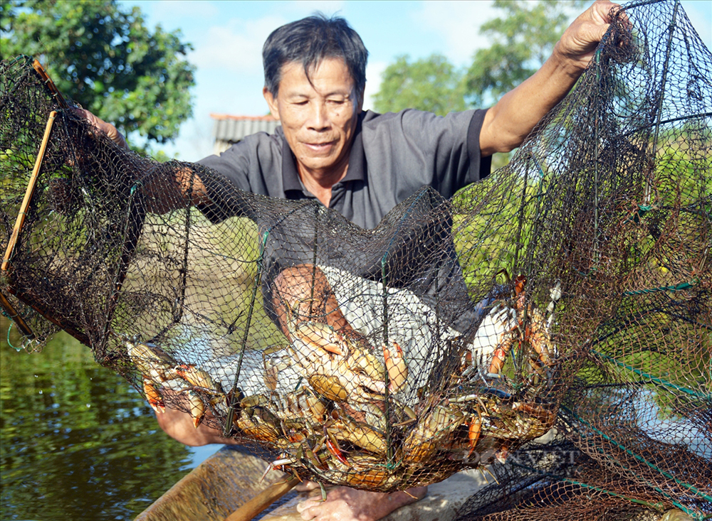 Nuoi trong thuy san trong rung ngap man 3