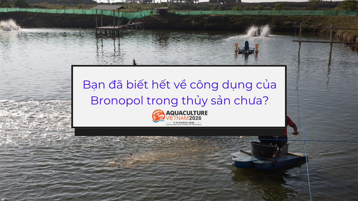 bronopol trong nuoi trong thuy san 1