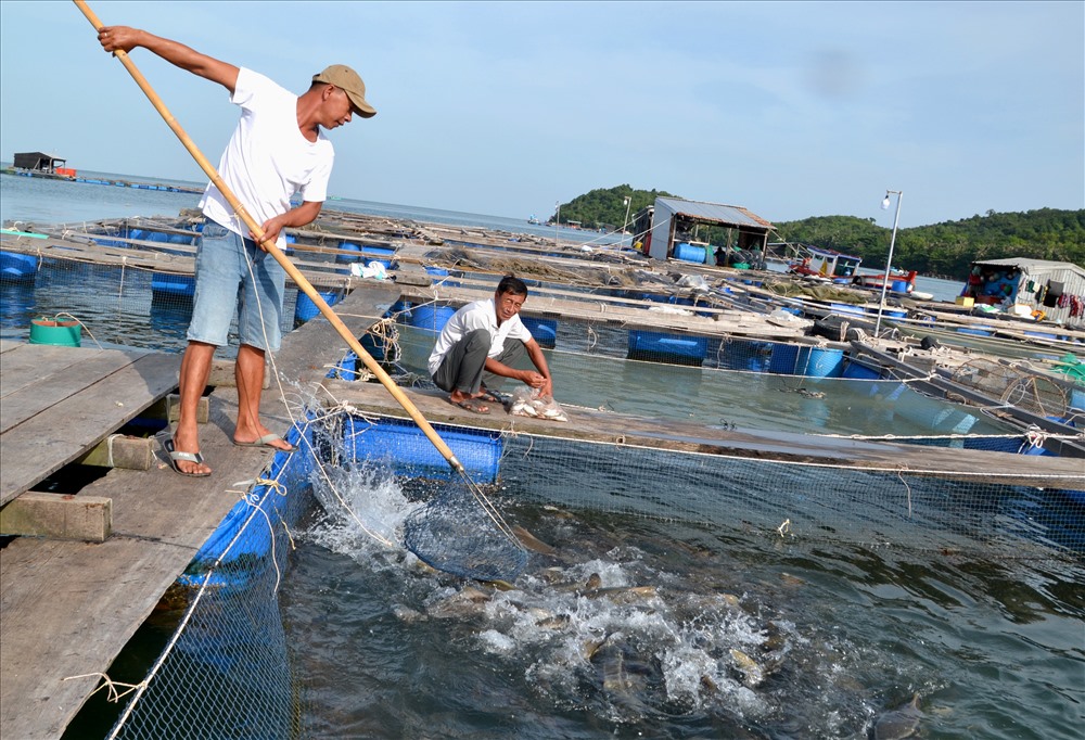 bronopol trong nuoi trong thuy san 4