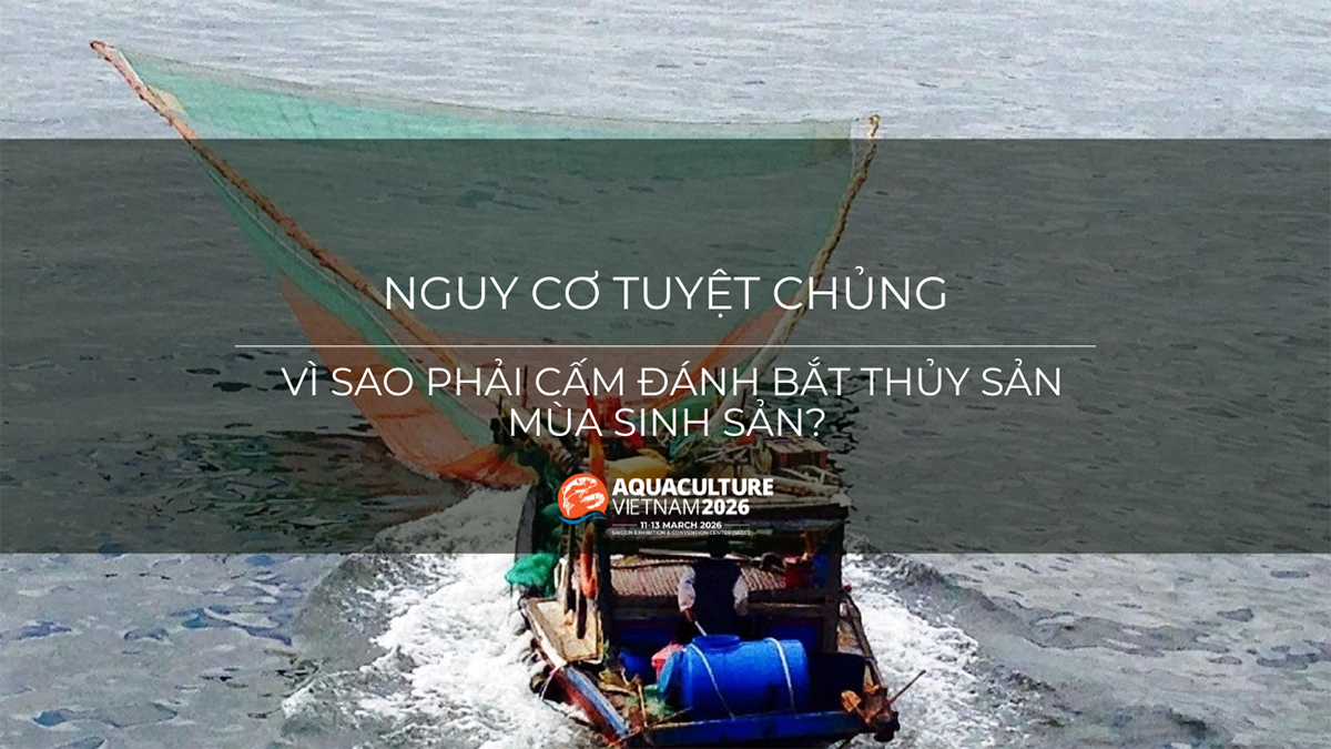 cam danh bat thuy san mua sinh san 1