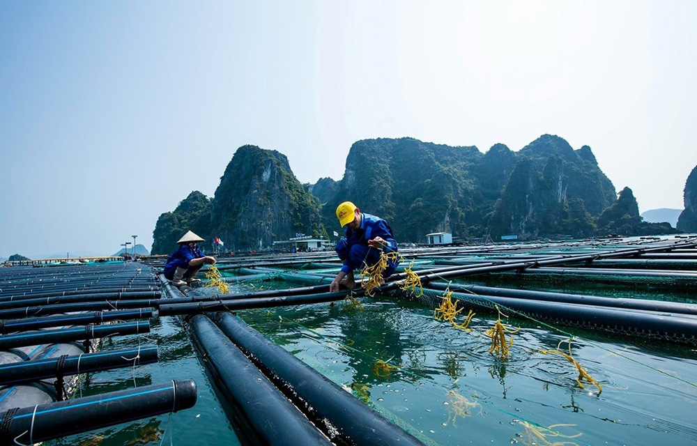 da dang hoa doi tuong nuoi trong thuy san 3