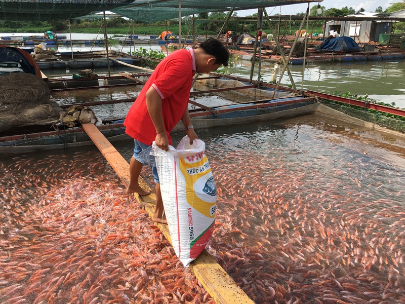 da dang hoa doi tuong nuoi trong thuy san 4