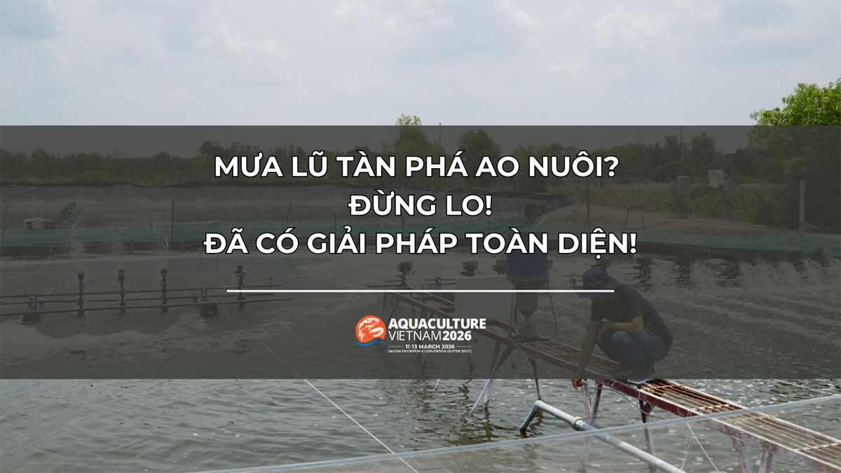 khac phuc ao nuoi mua mua lu 1