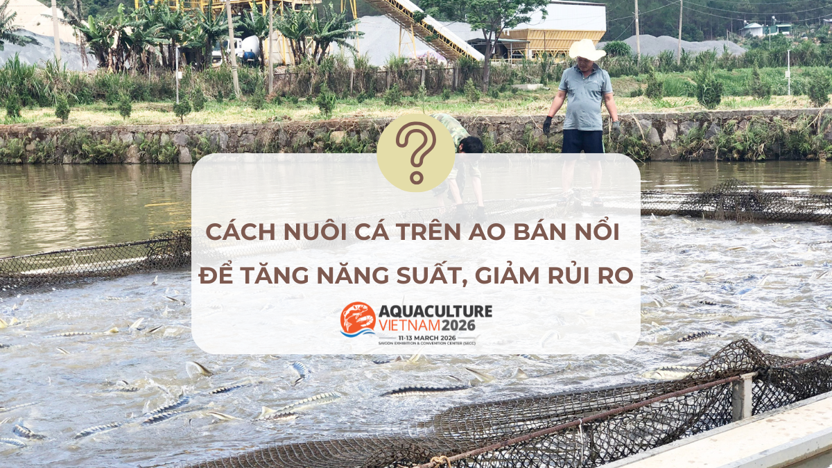 ky thuat nuoi ca tren ao ban noi 1