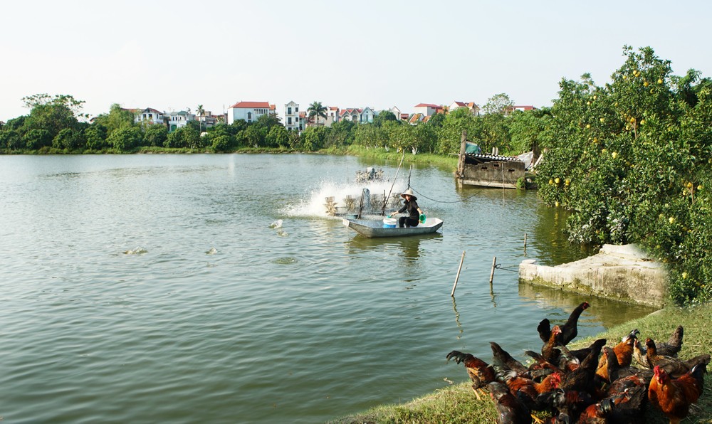 nuoi trong thuy san huu co 2