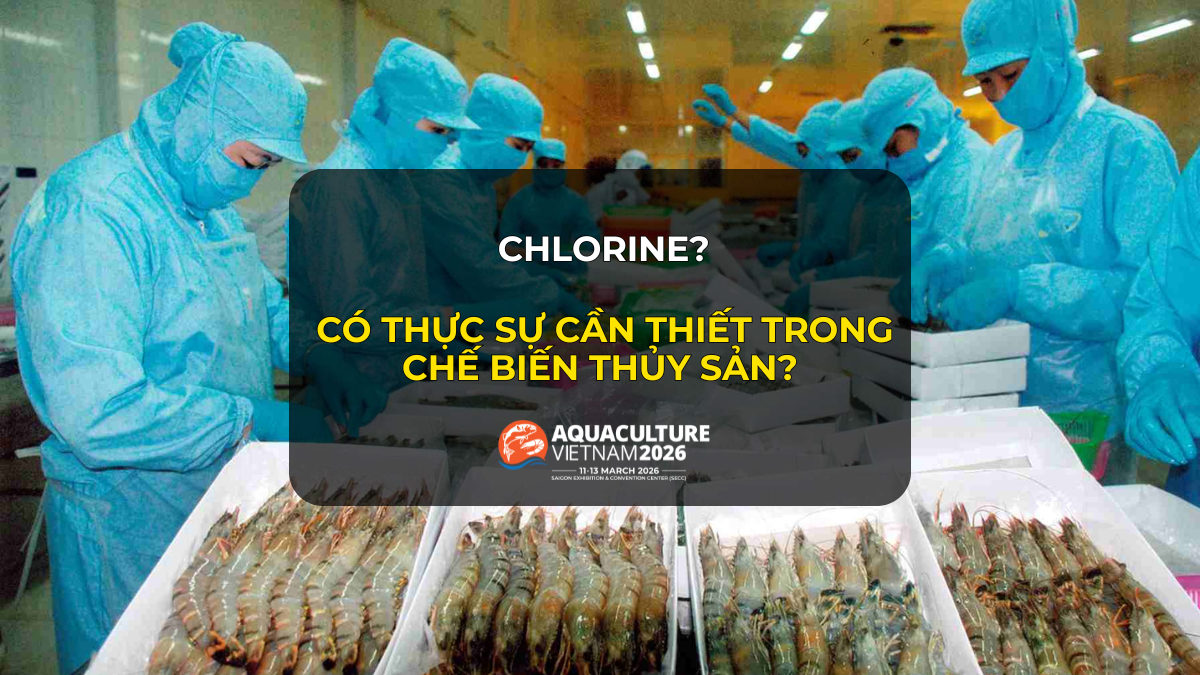 su dung chlorine trong che bien thuy san 1