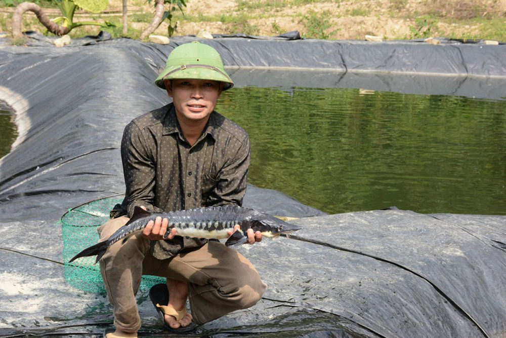 thao duoc trong nuoi trong thuy san 4