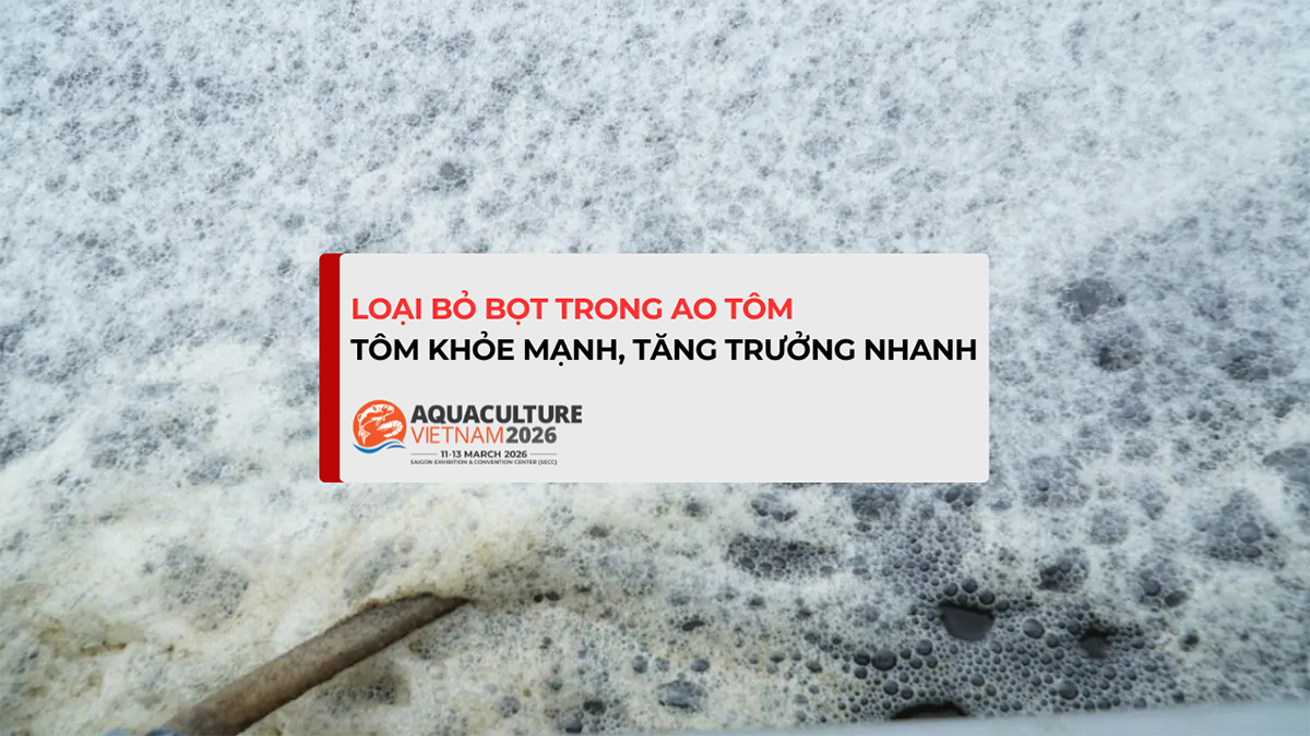 bot trong ao tom 1