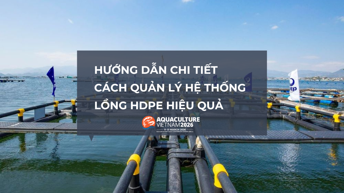 quan ly he thong long hdpe 1