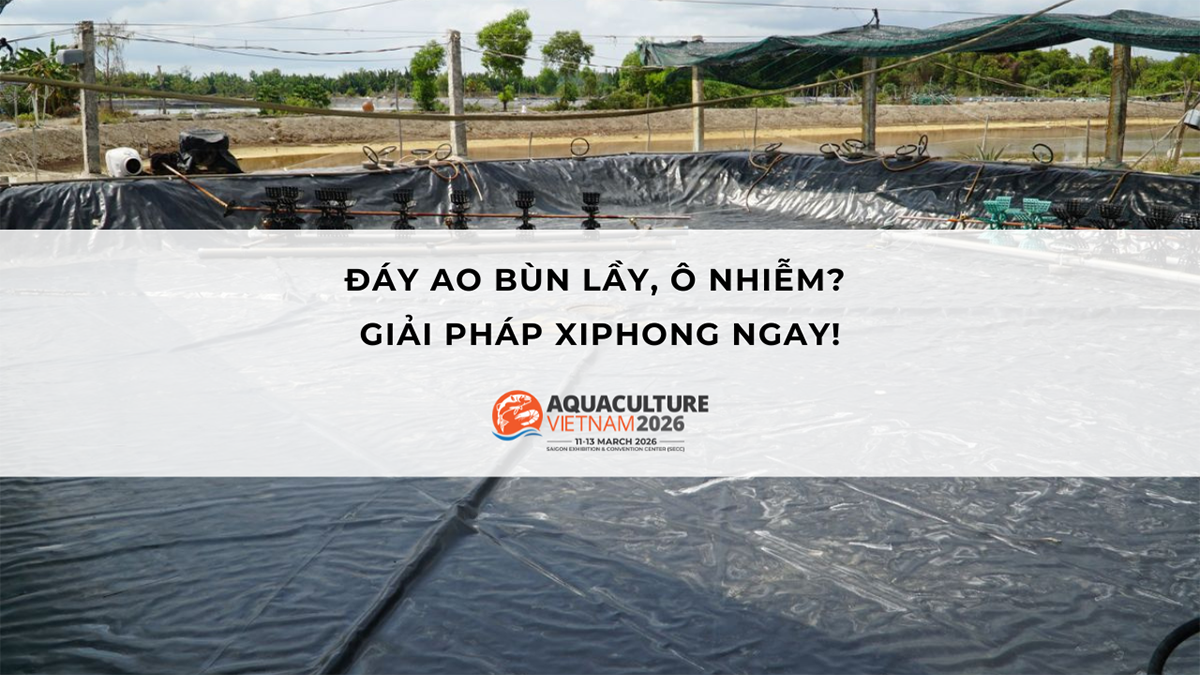 xi phong day ao 1